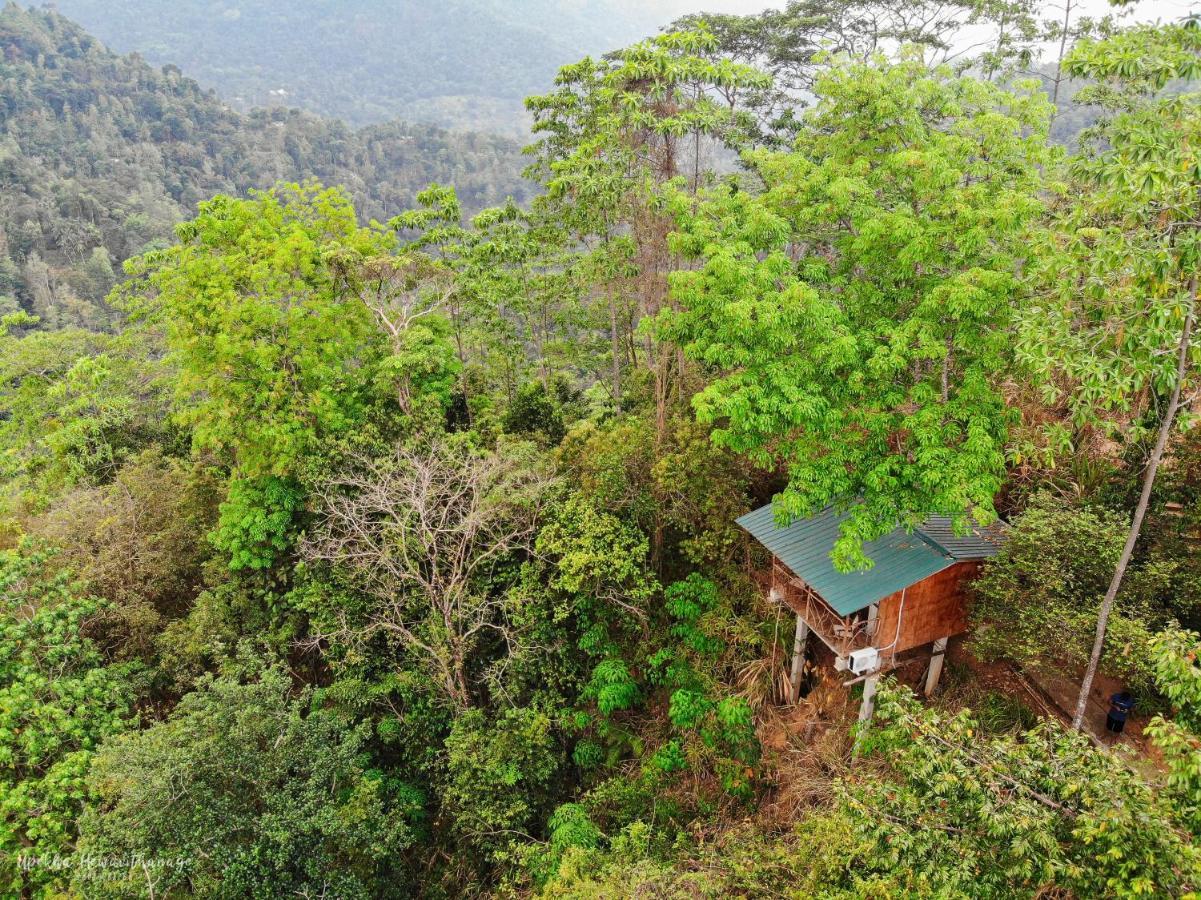 Tree Houses By Jungle River Ginigathena Kültér fotó