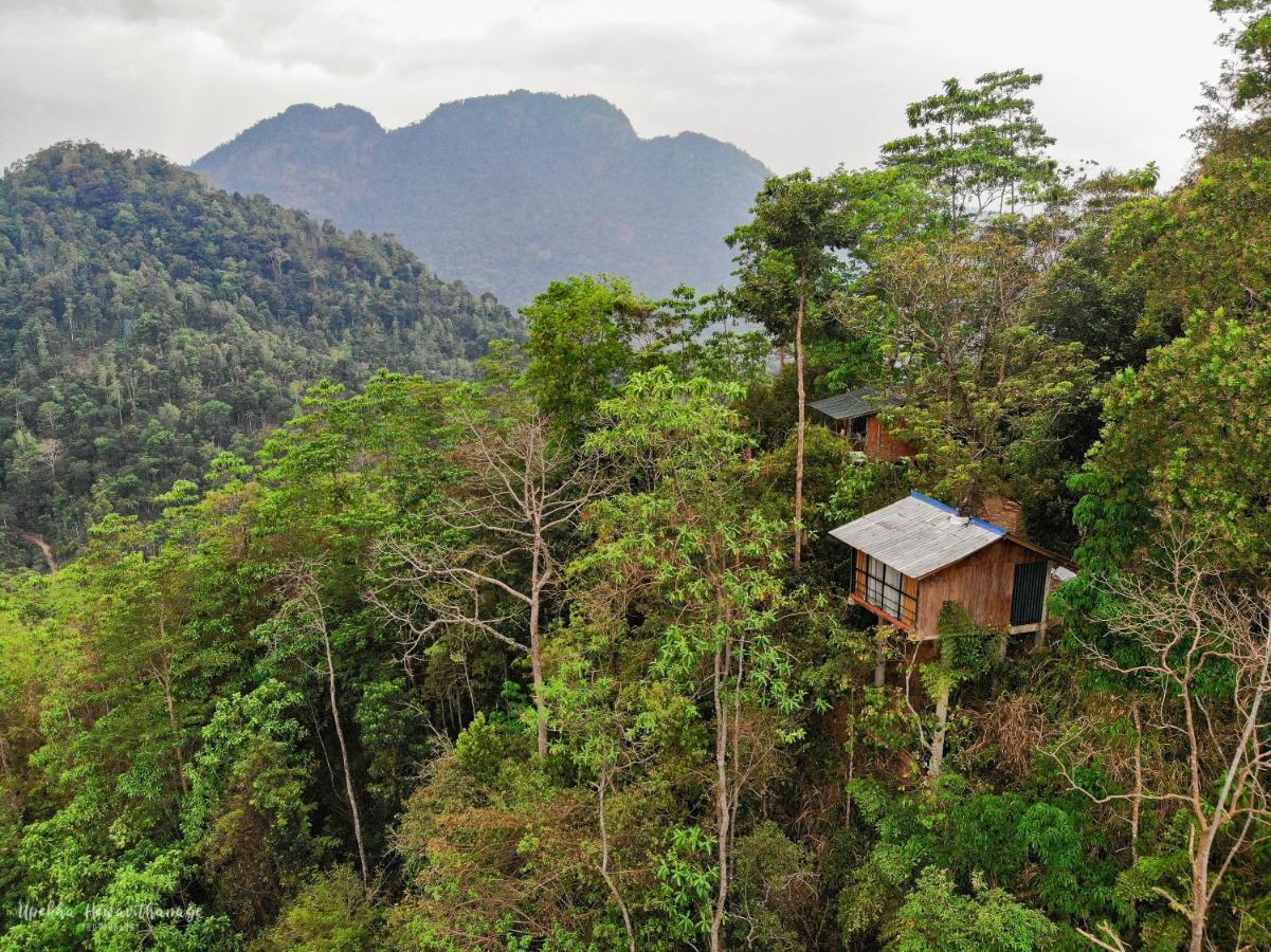 Tree Houses By Jungle River Ginigathena Kültér fotó